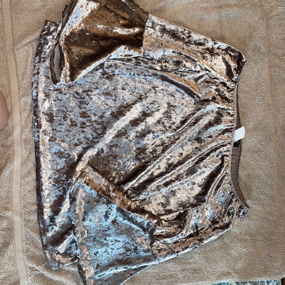 Brown bell sleeve off the shoulder blouse. Feels like velour.